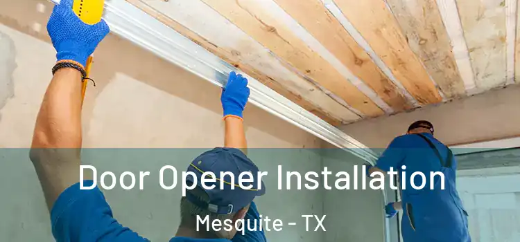 Door Opener Installation Mesquite - TX